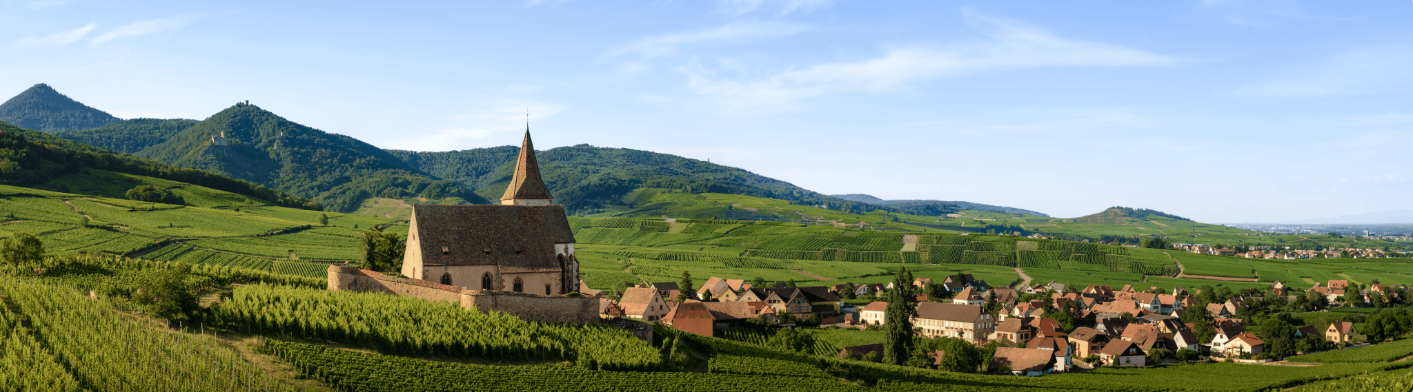 French Wine - CG Liquor