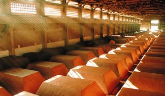 Inside CG Liquor: How We Source Our Authentic Spirits - CG LIQUOR
