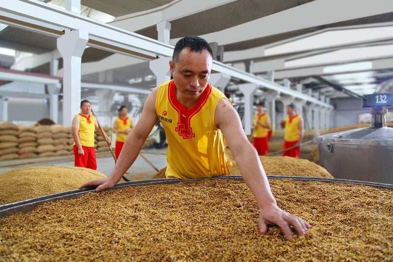 What Does Baijiu Taste Like? A Guide to Baijiu Flavour & Aroma - CG LIQUOR