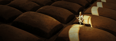 What Is Baijiu? A Beginner’s Guide to Chinese Liquor - CG LIQUOR